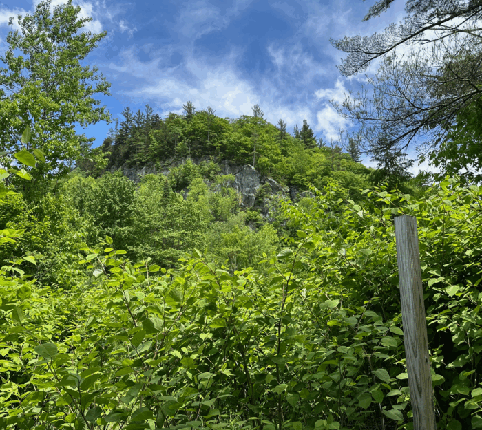 Thunderhead View PC Zach Levy