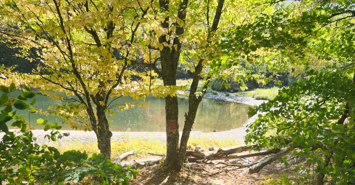 Fishing access below Big Falls of the Missisquoi in North Troy, Vermont.