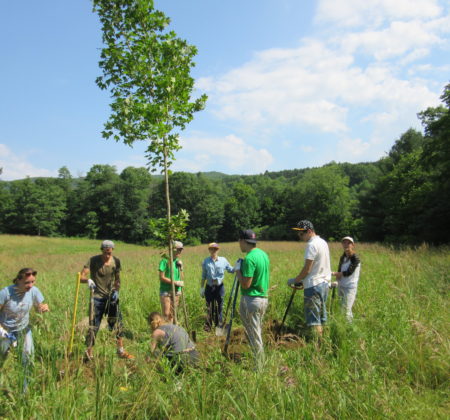 volunteers in a field tree planting with project harmony scaled at Arthur Buck River Access site