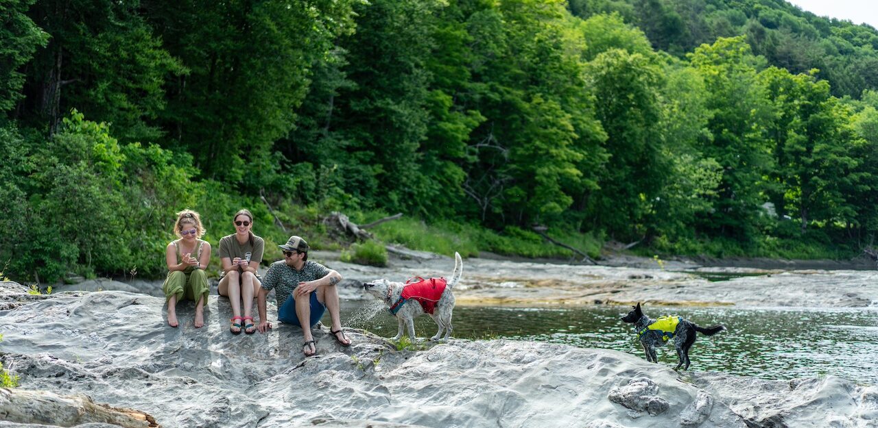 People and dogs recreating on the river. Photo by Evan Kay