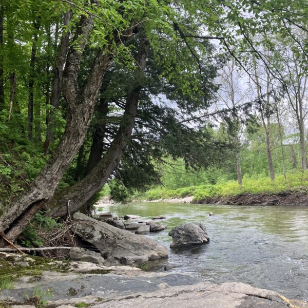 Read our seasonal River Steward, Hughes' reflection from this summers work on the rivers throughout Vermont.  