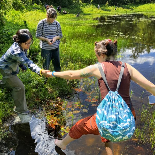 Get a glimpse into a conservationist's every day work! Read an interview with our Southern Vermont Conservation Manager, Hayley Kolding and learn what she gets up to day to day.