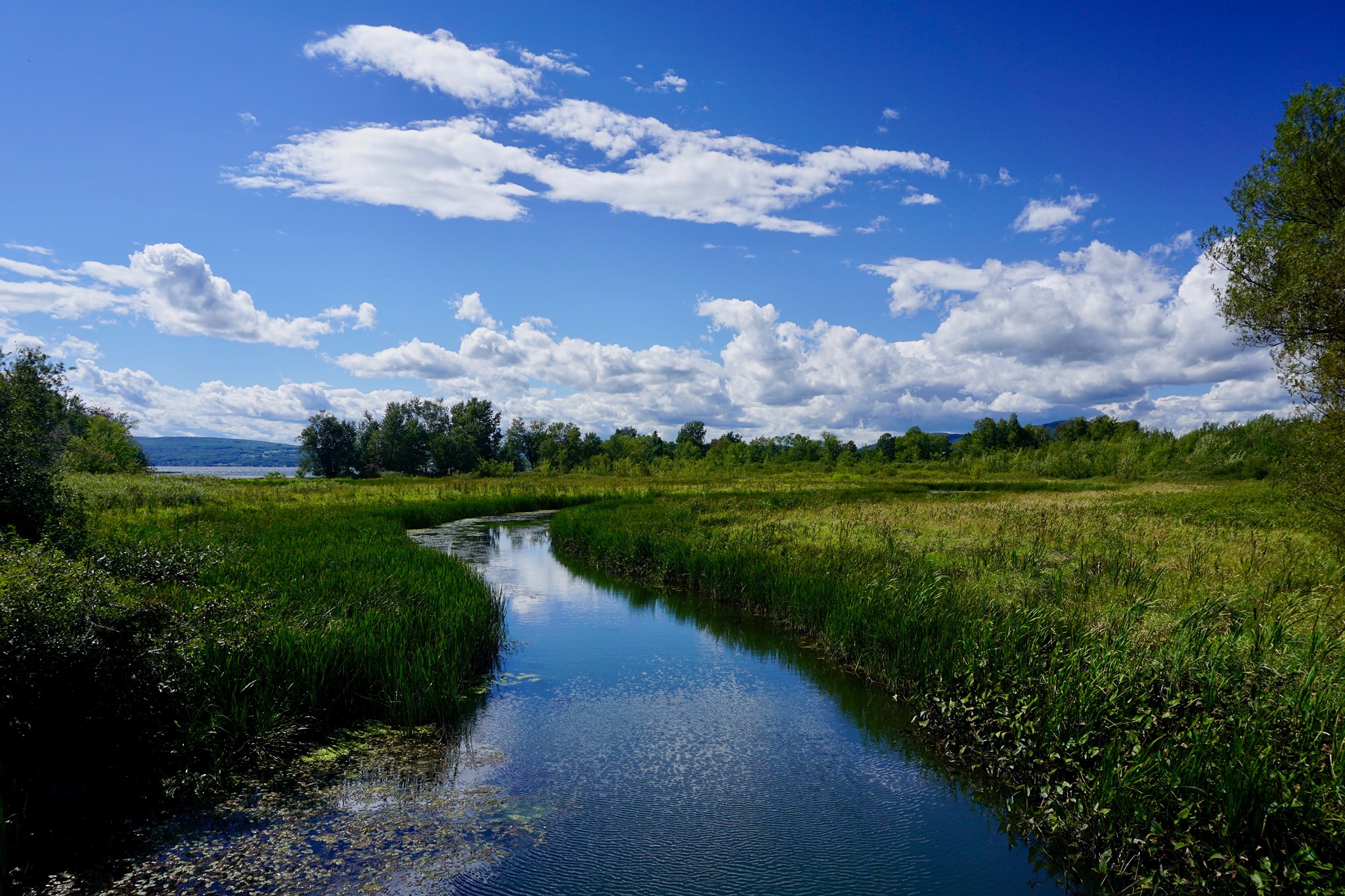 Brave The Wild River: Webinar - Vermont River Conservancy