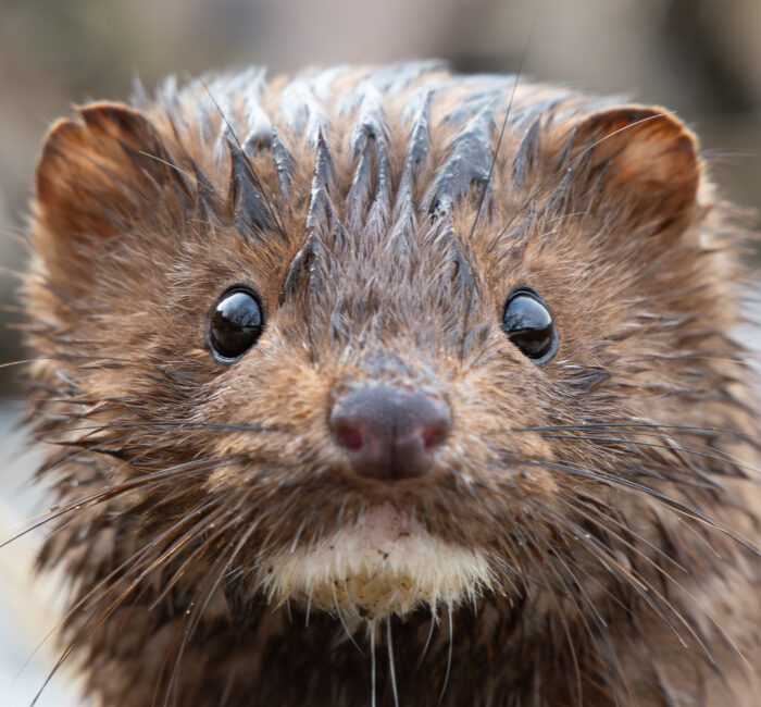 Check out our Fall/Winter 2025 Newsletter!