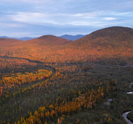 Landscape PC Emanuel Soza Foias