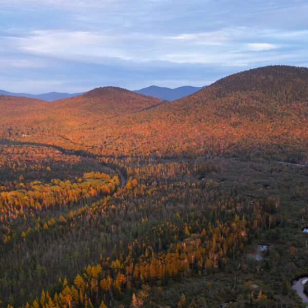 The Multiplier Effect: The principle that one investment catalyzes another; a chain reaction wherein good begets good. 