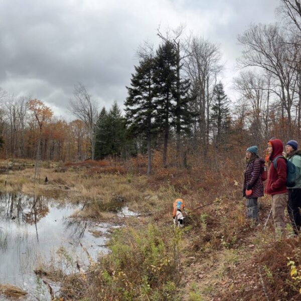 Did you miss our High Water Remarks and Conservation Plan Reveal webinar sessions? View the Zoom recording and resources in this blog post.