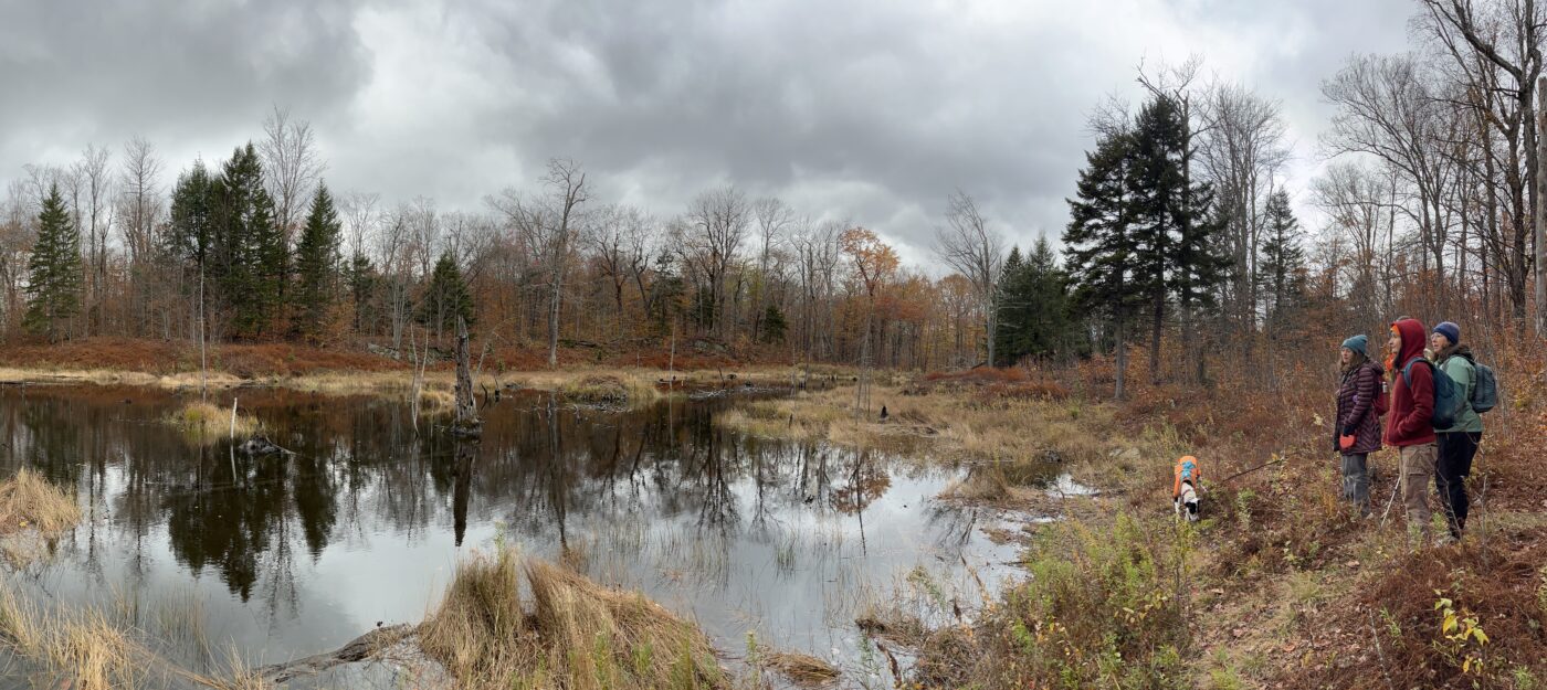Field day at Old Oaks.
