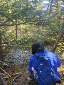 Student observing lichen in forest