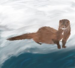 drawing of mink on snow next to river