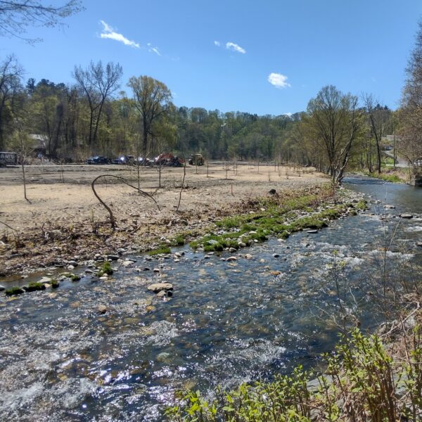 Birge Brattleboro Whetstone-Brook Tree-Plantings Restoration Project Floodplain in Spring