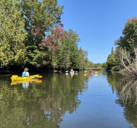 Group Kayaking on the Clyde River on a sunny blue sky day with foliage in West Charleston Vermont