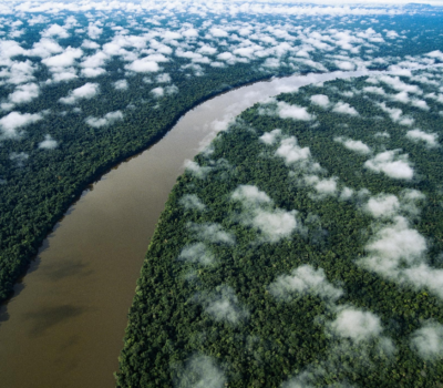 River flowing through tropical forest with view of clouds from the documentary River 2021