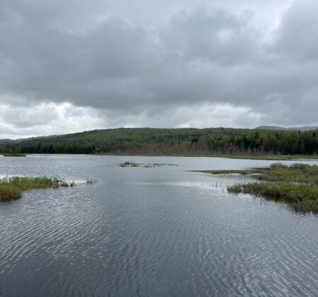 Scenic Clyde River wetlands in the Memphremagog watershed