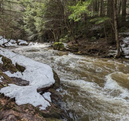 Water rushing with snow melt at Canyon Lot in Elmore Branch during Early Spring by Remy Crettol