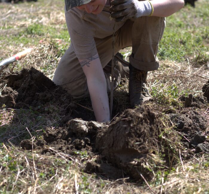 Reflections on the 2026 riparian tree plantings where volunteers of all ages came together not only to plant trees, but to cultivate attention, connection, and a shared sense of stewardship for the natural world.