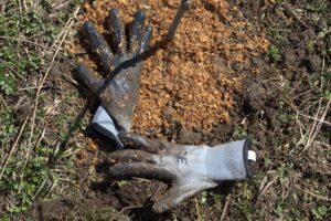 Tree planting gloves on the ground over woodchips and grass
