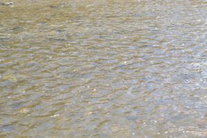 Wild-branch-river-close-up-ripple_HaddersRiparianPlantingonWildBranch_GabriellaMarchesani