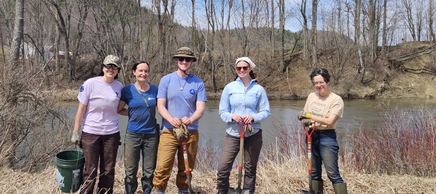 Lamoille River tree planting crew in Cambridge, Vermont