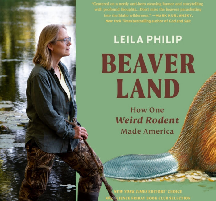 Did you miss the Beaverland webinar with author Leila Philip? Read about the world of the North American Beaver and its role in the landscape.