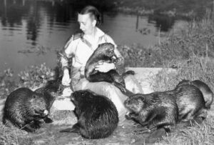 “Beaver Woman” Dorothy Richards holding a beaver, surrounded by six beavers