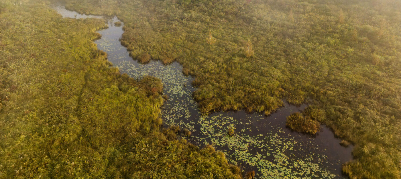 Aerial Photo of Vermont Wetland with fog by Emanuel Soza-Foias