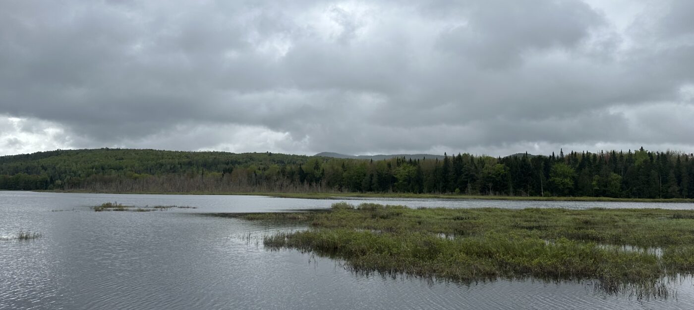 Clyde River Fen in the Northeast Kingdom of Vermont
