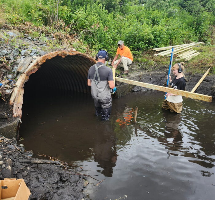 Beaver Deceiver, process-based-restoration technique, being built by crew wearing waders in the river