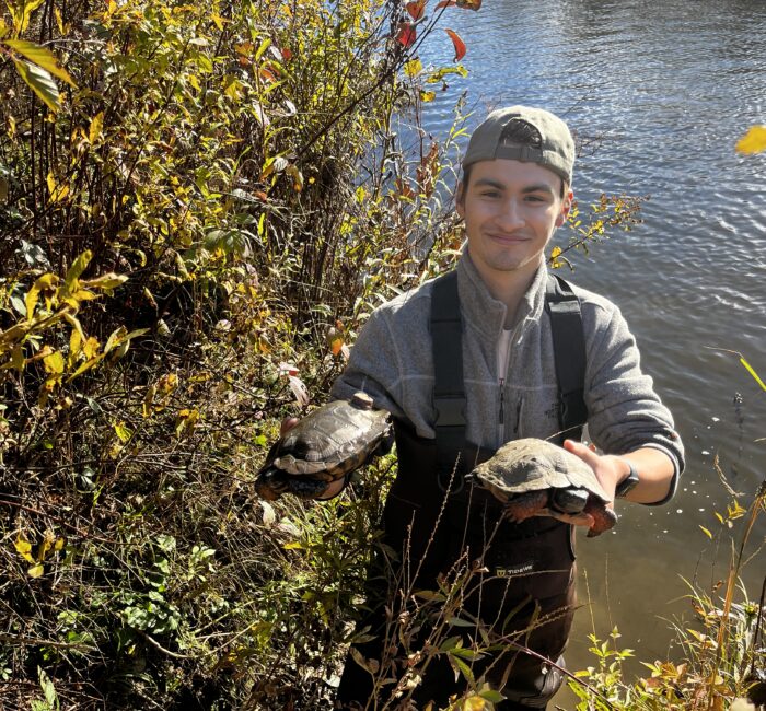 Vermont photographer Emanuel Soza-Foias holding wood turtles fall 2026 