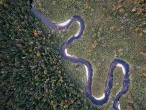 Aerial-meander-wetland-headwater-forest-with-fall-autumn-color_Emanuel-Soza-Foias-scaled