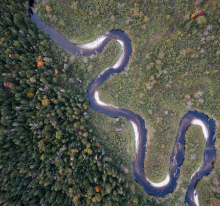Aerial meander wetland headwater forest with fall autumn color Emanuel Soza-Foias