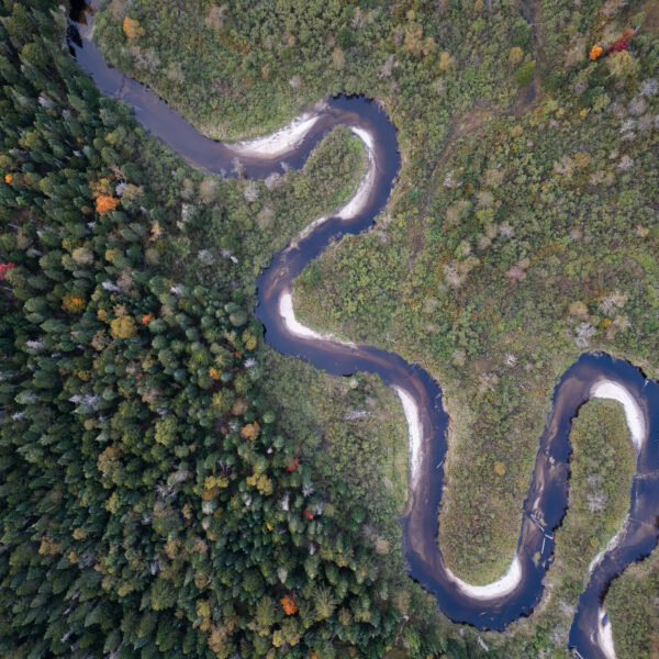 Learn about VRC's 2026 Conservation Plan, bringing newly focused conservation priorities to amplify our
impact for people and wildlife.