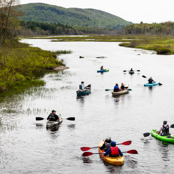 Vermont River Conservancy and NorthWoods Stewardship Center celebrated World Fish Migration Day with a community paddle on the Clyde River. Learn more about the history of the Clyde River and its ecological importance.