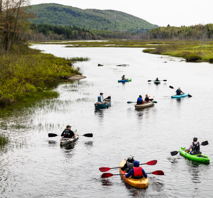 Vermont River Conservancy and NorthWoods Stewardship Center celebrated World Fish Migration Day with a community paddle on the Clyde River. Learn more about the history of the Clyde River and its ecological importance.
