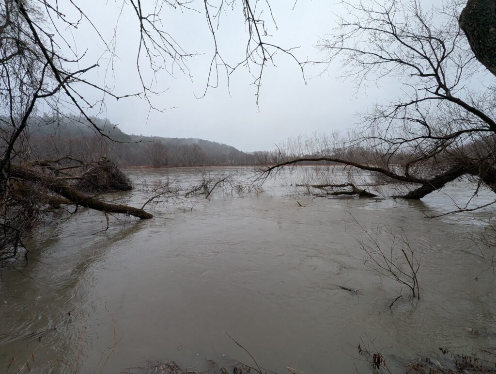 Lamoille River flooding after heavy rain storm event with branches down, water moving fast and high and looks murky