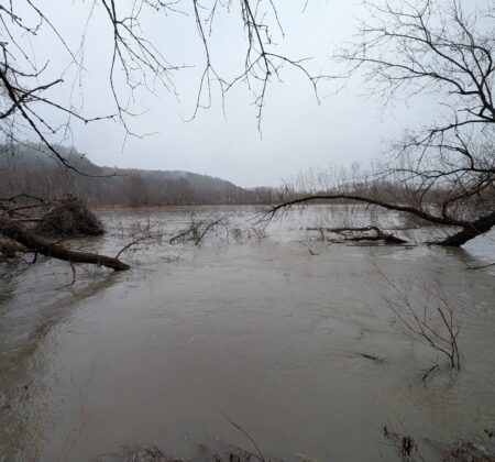 Flooded Lamoille River in Vermont after heavy rainfall, with fast-moving, high water creating dangerous swimming conditions.