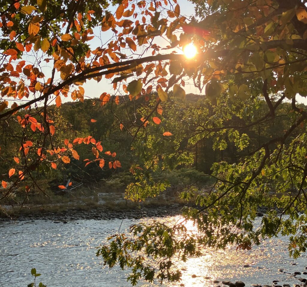 Sunlight filters through autumn foliage along the West River Trail in Brattleboro, Vermont, illuminating the river and surrounding trees with warm fall colors.