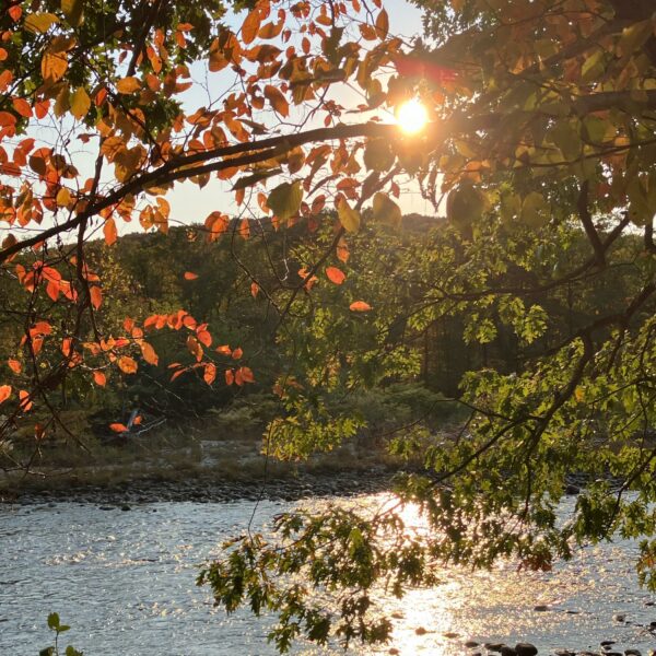 Sunlight filters through autumn foliage along the Trail in Vermont, illuminating the river and surrounding trees with warm fall colors.