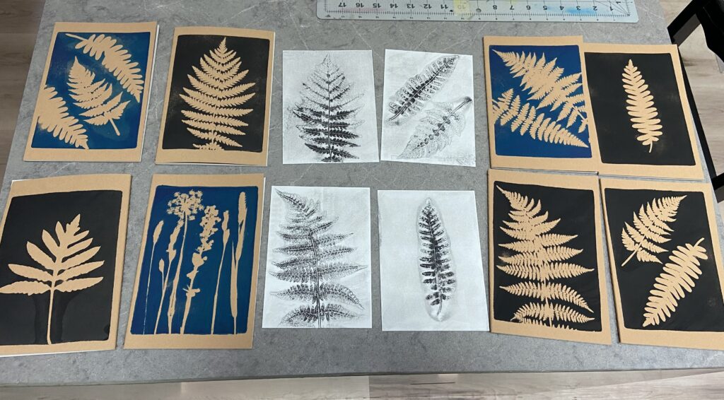 Botanical block print Monoprints of different planys by Morgan LaChance