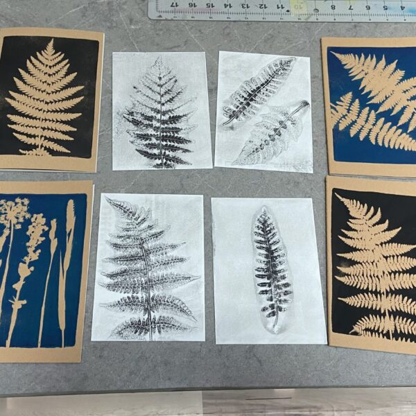 Botanical Monoprints of different plants by Morgan LaChance