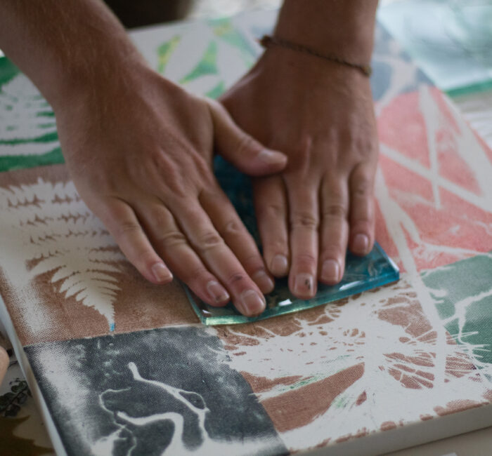 On September 9th, we kicked off our community-based eco-art series with a river connectivity and monoprinting workshop in Johnson, within the Lamoille watershed. Learn more about this rainy day event!