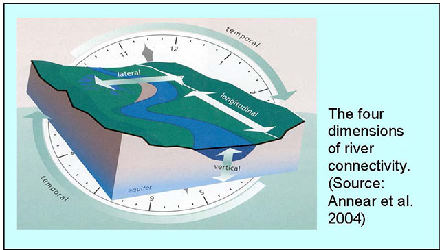 4-dimensions of River dynamics diagram