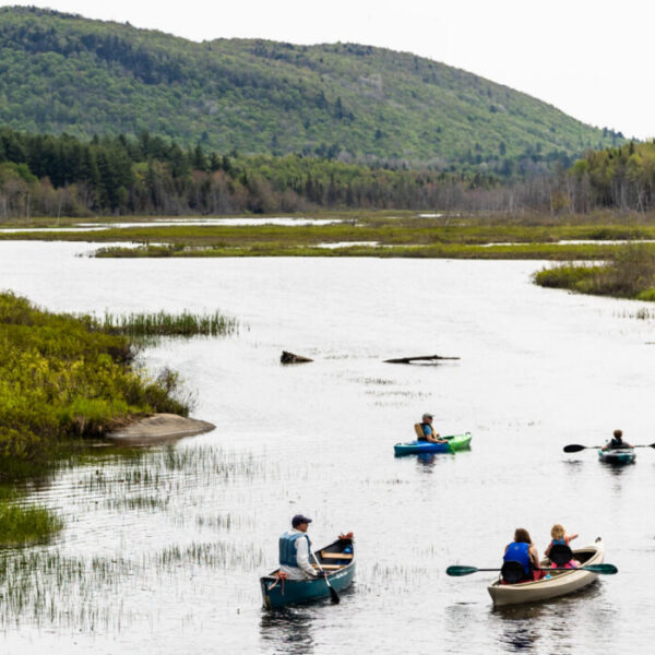 Paddlers on a wide river